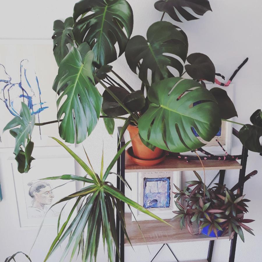 #Staywild29 - Gemuetliche Ferienwohnung Im Allgaeu 肯普滕 外观 照片